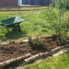 Bild på en bädd fylld med jord, kantat av björkstockar. Olika buskar är planterade i bädden. En skottkärra står bakom bädden. Omkring bädden växer en äng.